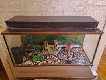 аквариум без рыб: Akvarium şkafla bir yerde verilir üstündə filteri qızdırıcısı işığıd — 2