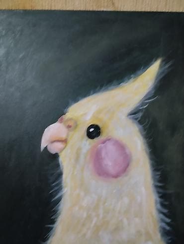 gözel profil sekilleri: Akril tablo – nimfa tutuquşusu portreti ketan tablodan hazırlanıp — 3