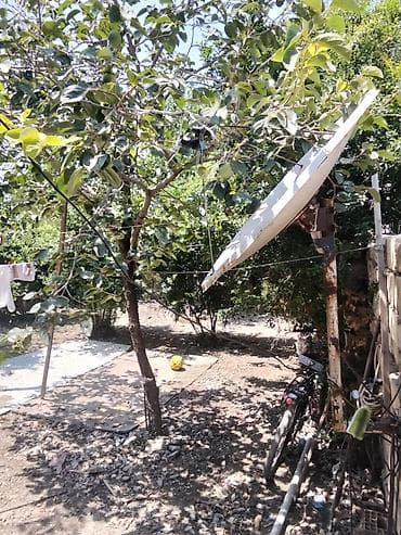 Həyət evi alıram: 3 otaqlı, 80 kv. m, Orta təmir — 3