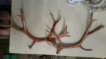 həsir nədir: Рогапрекрасном состояние. договарная. по пустякам не звонит — 3