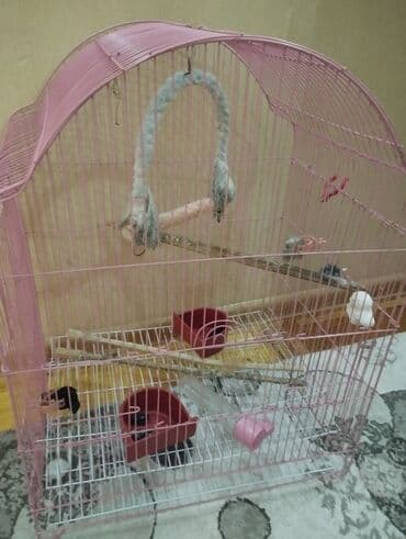 Quş qəfəsi – geniş və funksional - Rəng: çəhrayı (metal karkas) -