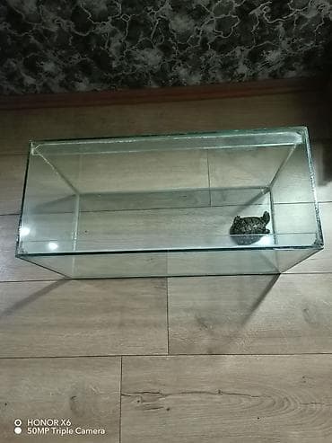 tap az akvarium: Şüşə akvarium tispaqa ilə birlikdə 20 manat. lazimdirsa zəng — 2