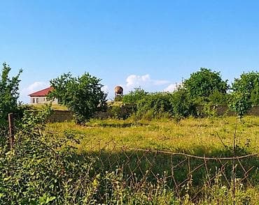 36 sot, Mülkiyyətçi, Kupça (Çıxarış)