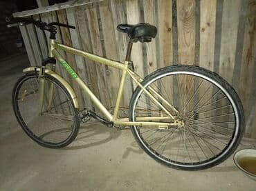 алиса купить в баку: Reyal Alçi yigsin Heç bir pirablemi yoxdu saz veziyədədi pul lazimdi — 2