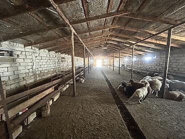 kiraye evlerin kreditle satisi: Ferma/Saxlama sahəsi və yardımçı tikililərlə birlikdə həyətyanı ərazi — 5