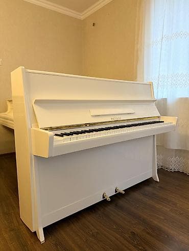 пианино сколько стоит: Пианино, Petrof, Акустический — 3