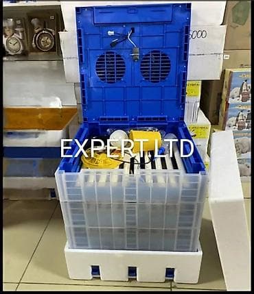 İnkubatorlar: Çin, Tam avtomat, Bütün növ quşlaq üçün, Zəmanət ilə — 10