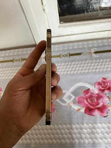 ayfon 6s 16 gb: IPhone 12 Pro, Qızılı, Face ID — 10