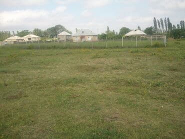 10 sot, Tikinti, Mülkiyyətçi, Kupça (Çıxarış)