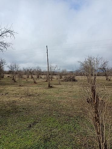 lokbatan heyet evi: Kənd təsərrüfatı — 1