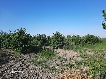 sirvan ev: 2 sot, Kənd təsərrüfatı, Mülkiyyətçi, Kupça (Çıxarış) — 5