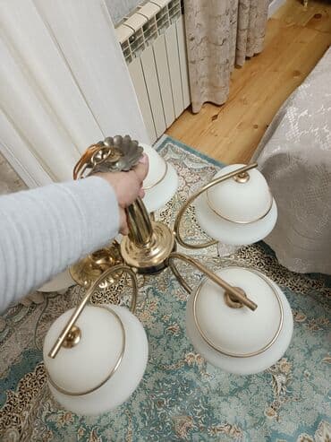 Bitkilər üçün dibçəklər: Çılçıraq — 2