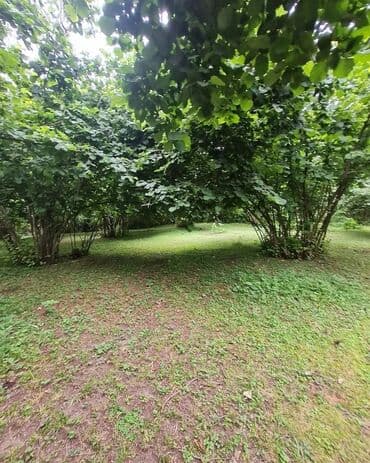 lokbatan heyet evler: TƏCİLİ SATİS🚨BARTER VAR🚙OĞUZ RAYONU🏞️ 🌳 XAÇMAZ KƏNDİ🌲 TURİZİM ƏRAZİSİ — 2