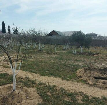 bilgəhdə torpaq: 24 sot, Tikinti, Makler, Kupça (Çıxarış) — 3