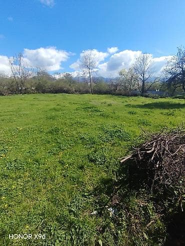 obyekt ucun torpaq sahesi: Azərbaycanın ən gözəl guşələrindən biri olan Oğuz rayonu Xaçmaz — 8