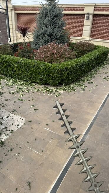 ремонт паркета: Pejaj və bağça kəsimi xidməti - Hündürlüyü və formasından asılı — 3