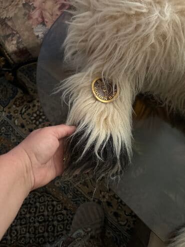 говорящие мягкие игрушки: Tüklu oyuncaq it dekor ucun hediye veribler 1 metre boyu bejevi qara — 3