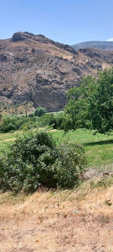 аренда и продажа недвижимости: Əkin sahəsi kənd təsərrüfatı fəaliyyəti üçün geniş imkanlar təklif — 5