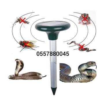 ilan gülü: İlan qovan, Yeni, Pulsuz çatdırılma — 1