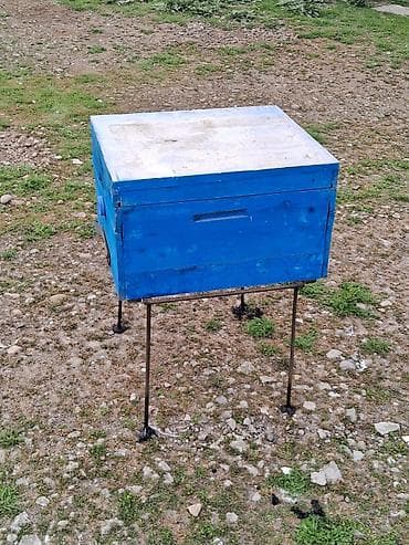 bal arısı satışı: Arı yuvası satıram. 9 yeşik var

ünvan Masallı — 2