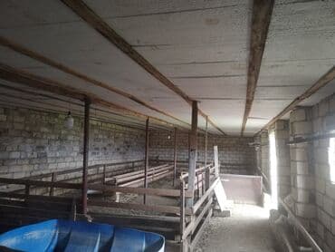 türkanda bağ evi satılır: Gəncə, 26 kv. m, 1 otaqlı, Hovuzsuz, Qaz, İşıq — 7