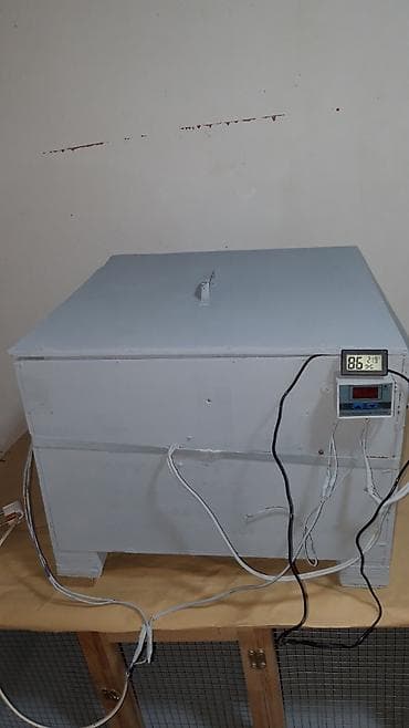 hava balonu kanpressor: 50 yumurtaliq tam iwley veziyete inkubator cixiw 98% — 6