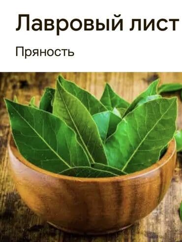 syomka baliq: Məhsul: Dəfnə yarpağı (laurel leaf) – ədviyyat Bagdan agacdan derilir — 2