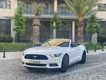 gence lenkeran avtobus: Toy, Nişan və digər tədbirlər üçün sifariş edə bilərsiz. ( Qiymət — 9