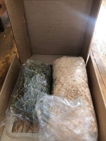 norka heyvan: Minilap dovşan 1i erkek 1i dişi setqası su qabları qumu otları üsdündə — 6