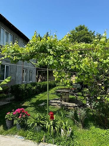 ucuz evler 2022: 🏡 Salam,Qəbələdə yerləşən rahat və geniş evimizi günlük kirayə — 6