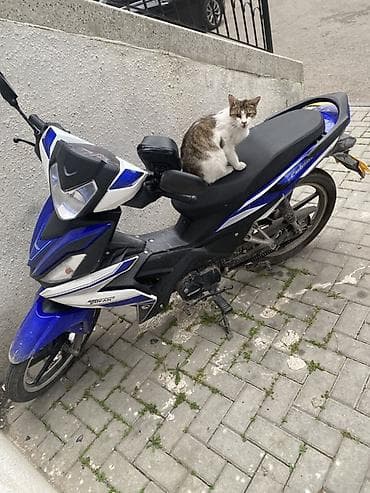 tufan em 50: Tufan - Cub 50S, 50 sm3, 1732 km — 1