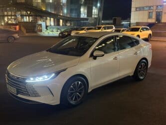 rustavi masin bazari 2022: BYD : 1.5 l | 2024 il Hetçbek — 1