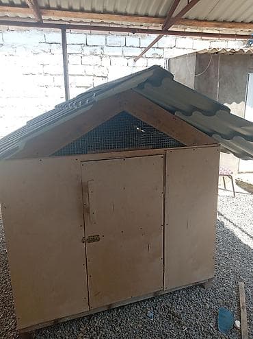 heyvan sahibləndirmə: Taxta toyuq kümesi / quşxana - Material: bərk karkas, kontrplaxtan — 3