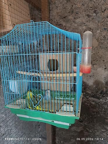 Dalğalı tutuquşu üçün qəfəs dəsti - Rəng: mavi tel konstruksiya