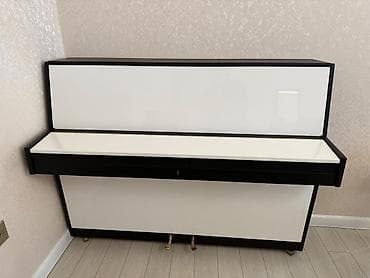 gitaraların qiyməti: Piano, Rönisch, Akustik, İşlənmiş, Pulsuz çatdırılma — 2