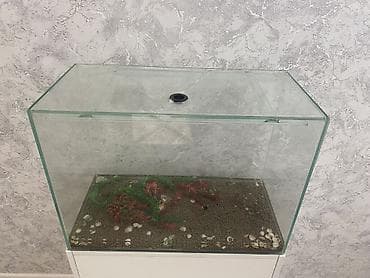 gence akvarium: Dördbucaq akvarium, Boş, 90 l, Ünvandan götürmə, Ödənişli çatdırılma — 3