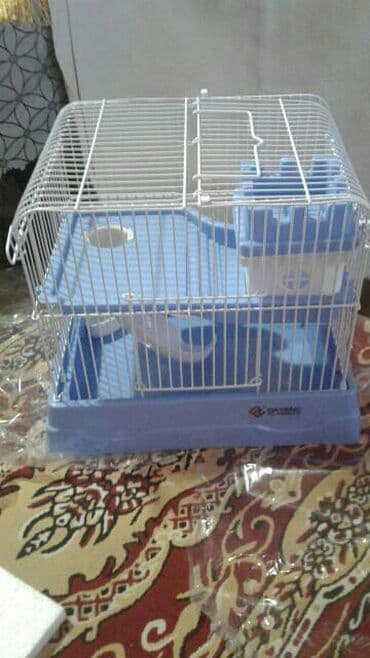 сколько стоят кошки: Shekilleri cevirin Xamyak ucun qefes satilir qiymeti 25 azn 3 eded — 28