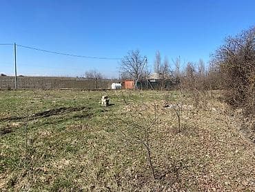 qubada torpaq satilir: Kənd təsərrüfatı — 6