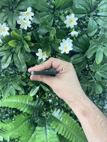 iphone 13 mini ikinci el: IPhone 13 mini, 128 GB, Yaşıl, Face ID, Zəmanət — 5