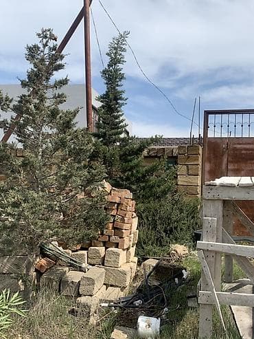 binədə torpaq: 6 sot, Tikinti, Barter mümkündür, Kupça (Çıxarış) — 2