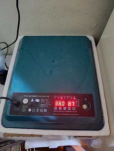 Tam avtomatik inkubator Xüsusiyyətlər: - Model: SLS-16-02 - Güc: 45W