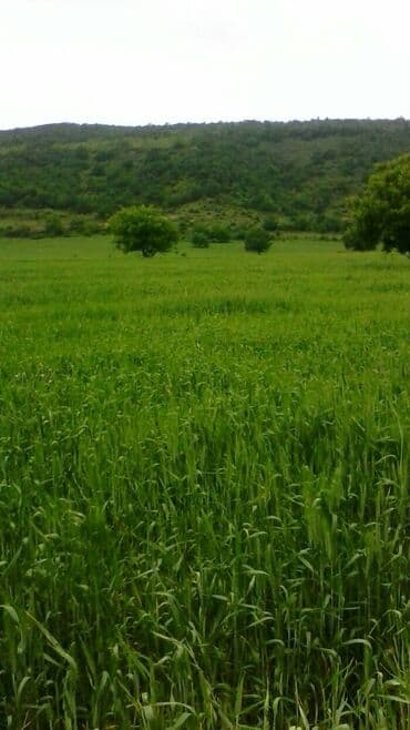 земельные участки на продажу: Для строительства — 4