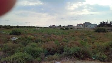 sulutəpə çiçək qəsəbəsi: 5 sot, Kənd təsərrüfatı, Kupça (Çıxarış) — 4