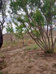 23 sot, Biznes üçün, Mülkiyyətçi, Müqavilə