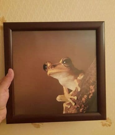 qaqa şəkilləri: Her biri 10 manat — 2