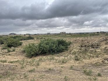 Daşınmaz əmlak: 25 sot, Tikinti, Kupça (Çıxarış) — 1