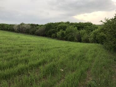 xacmazda torpaq: 128 соток, Для сельского хозяйства, Купчая — 4