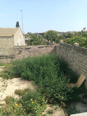 продажа недвижимости в баку: Mərdəkan qalasına yaxın.Evin və torpağın çıxarışı — 8