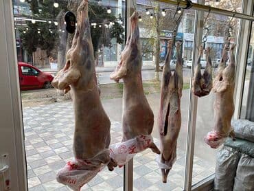 tendirxana icareye verilir 2025: Nərimanov metrosunun yaxınlığındasahəsi 20 kv/m olan, obyekt (ət — 14