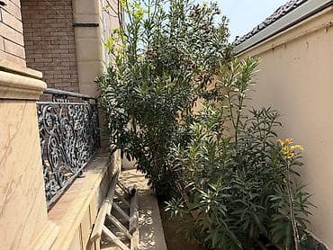 bülbülede heyet evleri: Buzovna 5 otaqlı, 220 kv. m, Yeni təmirli — 1